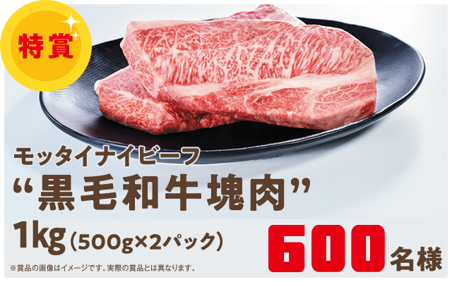 モッタイナイビーフ “黒毛和牛塊肉”