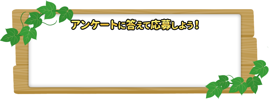 アンケートに答えて応募しよう！
